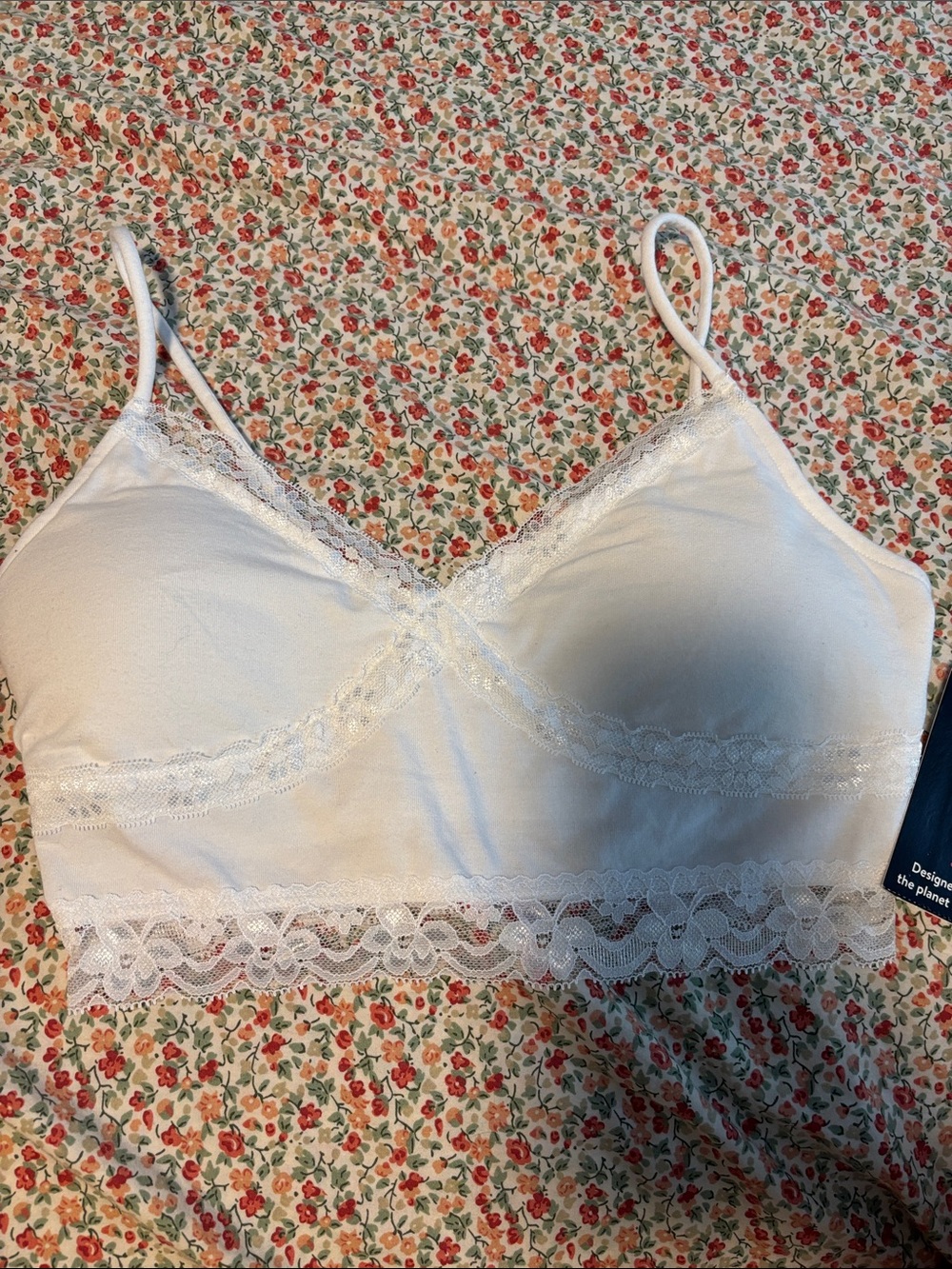 NOBO White Lace Trim Bralette